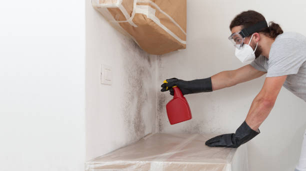 Professional Mold Removal technician working in Chatham, IL